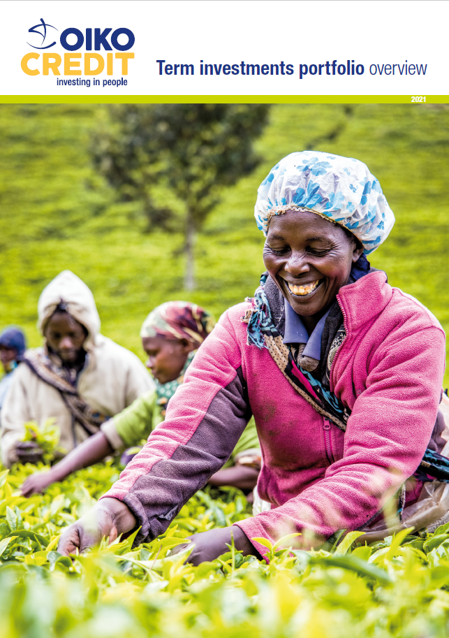 Term investments portfolio overview 2021 - first page .png