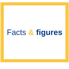 F & F yellow SQUARE.png