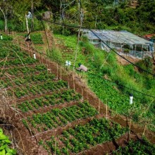 rspi-ph-28+square+smaller (1).jpg