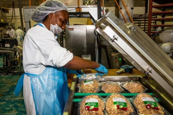 La nueva máquina de empaquetar, pagada con la financiación de Oikocredit La nueva máquina de empaquetar, pagada con la financiación de Oikocredit