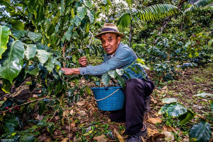 Domingo Medina Zacharias Domingo Medina Zacharias