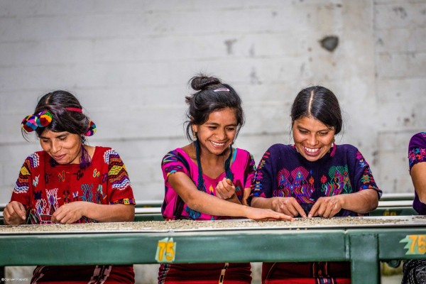 Clientes de l'organització agrícola Chajul, sòcia d'Oikocredit a Guatemala. Clientes de l'organització agrícola Chajul, sòcia d'Oikocredit a Guatemala.