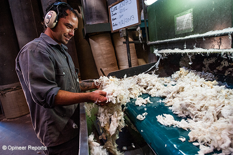 Central Lanera Uruguaya, organización socia de Oikocredit Central Lanera Uruguaya, organización socia de Oikocredit