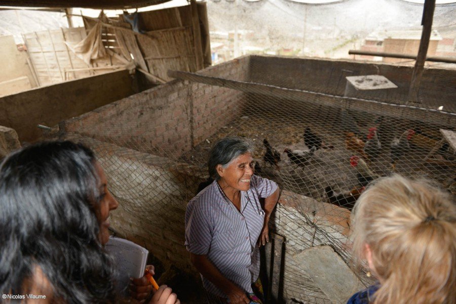 Nuestro grupo de viajes de estudio fue impresionado por Dimas Morales. Nuestro grupo de viajes de estudio fue impresionado por Dimas Morales.