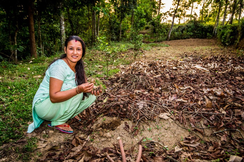 Priti Thapa, una de las recolectoras de té de Pandam Priti Thapa, una de las recolectoras de té de Pandam