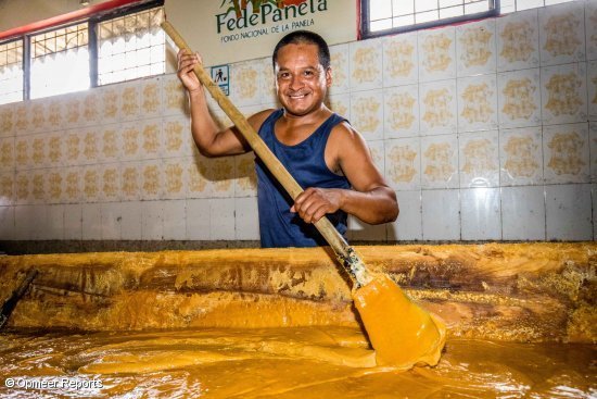 Azukre pasta mugitzen, “panela” egiteko Azukre pasta mugitzen, “panela” egiteko