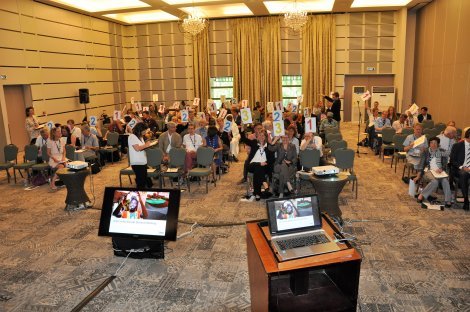 Els membres d'Oikocredit votant durant l'AGA. Els membres d'Oikocredit votant durant l'AGA.