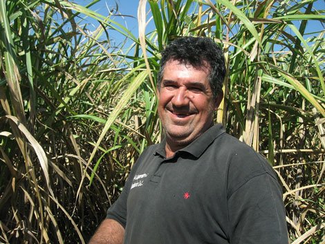 Eulogio Zaracho, miembro de la Cooperativa Manduvira LTDA, cultiva caña de azúcar ecológica en sus tierras. financiacion criterios de banca etica biofach cooperativa Cafetalera Capucas Ltda COCAFCAL Cooperativa Manduvira Ltda comercio justo ecologico