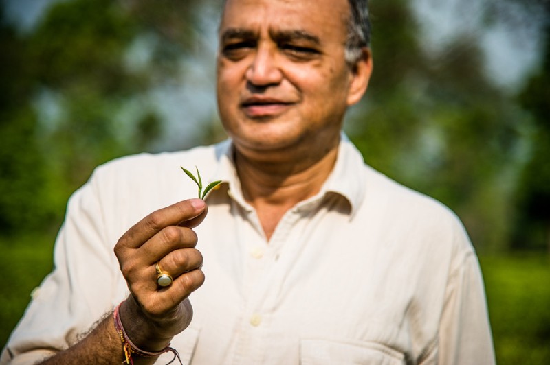 En Sanjay Bansal, president i director executiu de DOTEPL En Sanjay Bansal, president i director executiu de DOTEPL