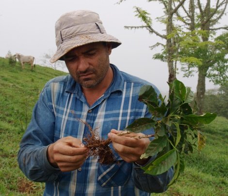 Cliente de microfinanzas, Gerardo Corrales Cliente de microfinanzas, Gerardo Corrales